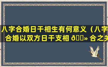 八字合婚日干相生有何意义（八字合婚以双方日干支相 🌻 合之关系看姻缘）